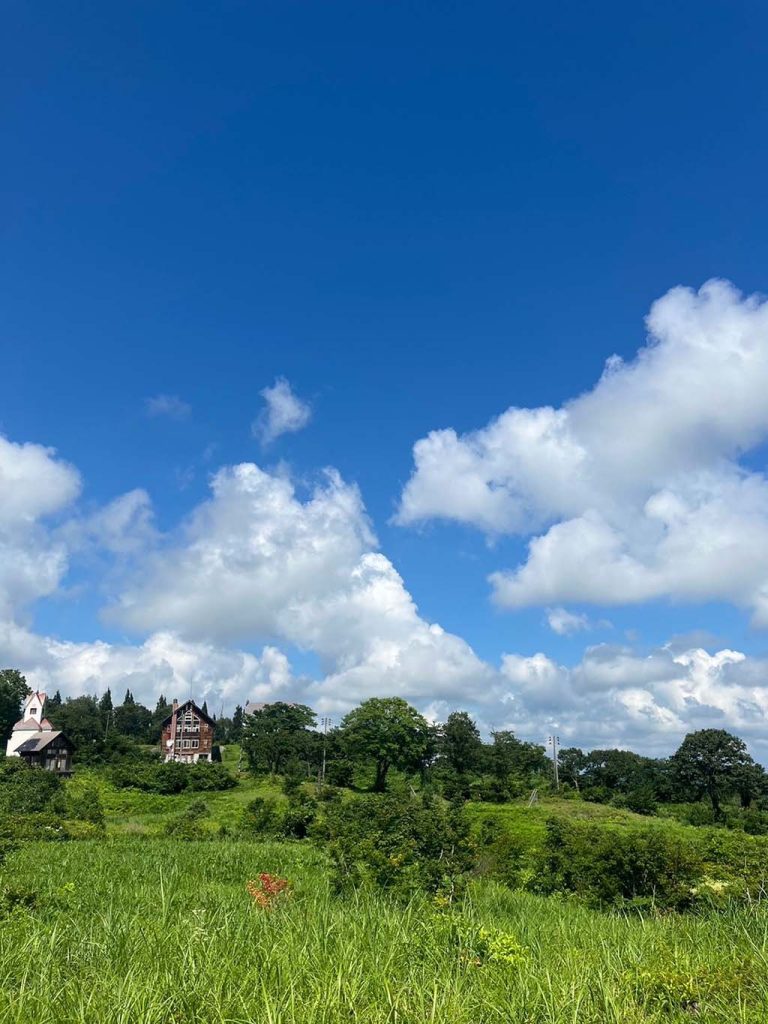 佐野勝哉さん　作品名『晴天』